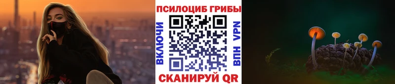 наркотики Барабинск ссылка на мегу ONION Псилоцибиновые грибы мицелий